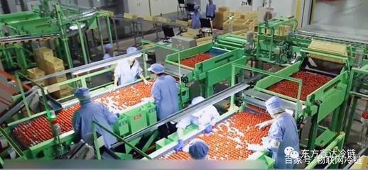 東方鑫達冷鏈補短板 重資布局農產品產地一公里