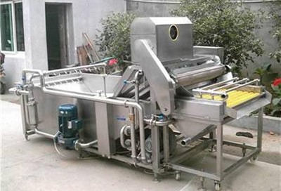 胡蘿卜清洗機多少錢、貴州胡蘿卜清洗機、泰和食品機械