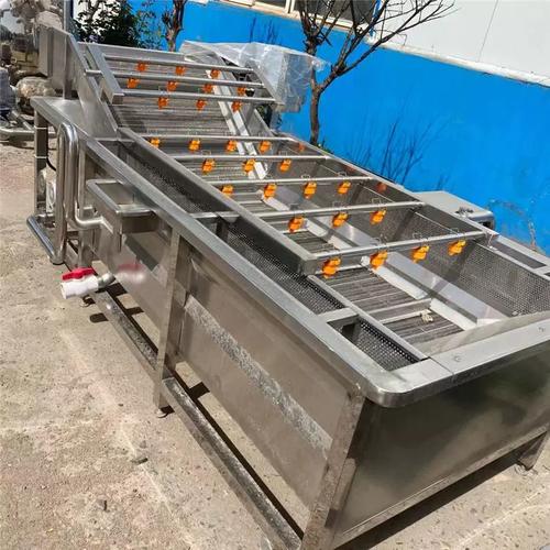 大棗蔬菜清洗機全自動茼蒿菠菜椰棗去泥沙氣泡清洗機蔬菜加工機器