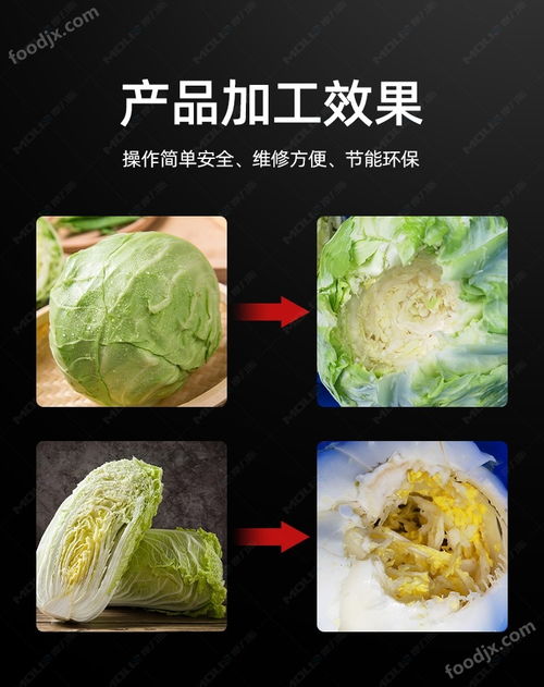 大白菜商用去芯機 凈菜加工設備