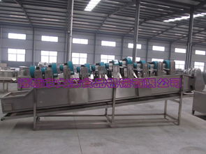 大洋牌商用果蔬風干機,翻轉式氣流風干設備