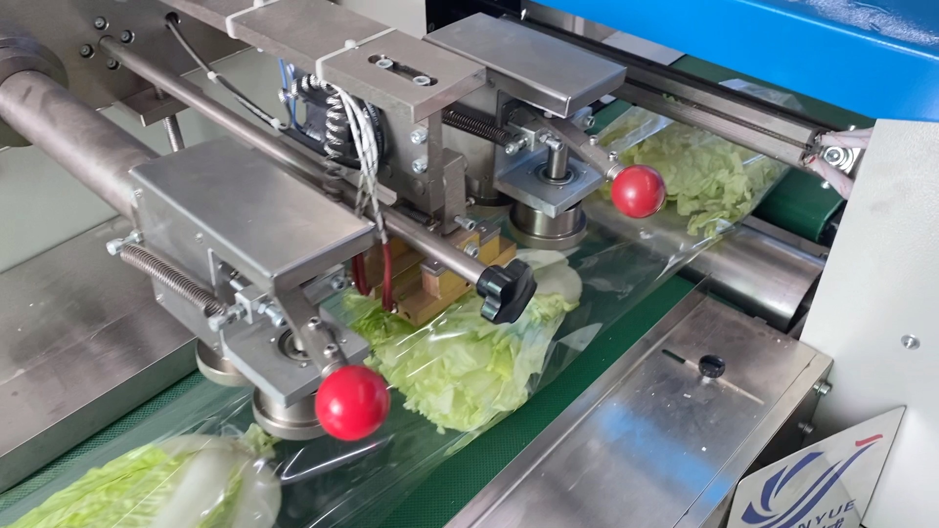 蔬菜包裝機(jī),果蔬打包機(jī)