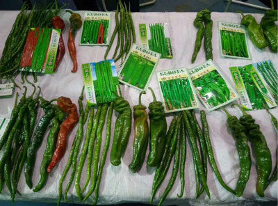 市蔬菜辦組團(tuán)參加第25屆中國(guó)楊凌農(nóng)高會(huì)