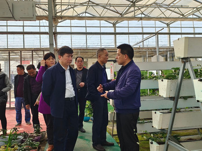 省廳農(nóng)機(jī)處調(diào)研株洲設(shè)施農(nóng)業(yè)
