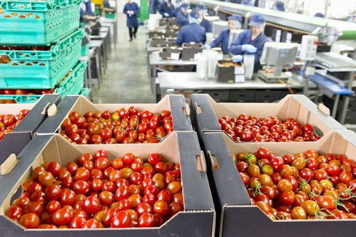 年前將至,五個(gè)成本低賺錢快的好項(xiàng)目,別再羨慕別人的死工資了