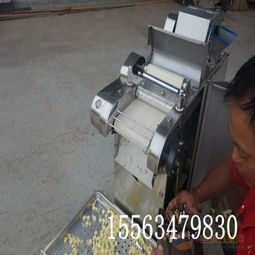 葉莖類(lèi)蔬菜切菜機(jī) 切水果片機(jī)器 小型全自動(dòng)切菜機(jī)