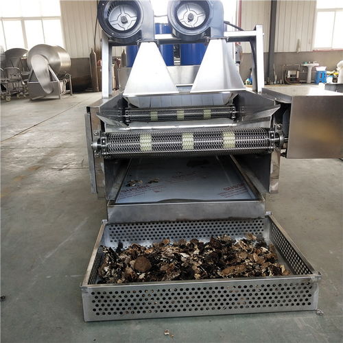 【廠家胡蘿卜清洗去皮機果蔬清洗流水線蔬菜凈加工成套設備】- 