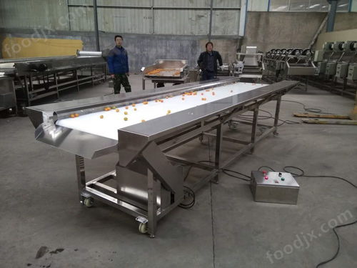 食品加工雙層挑選輸送線諸城市冠通機械