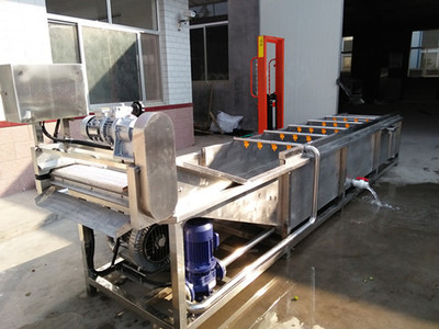 超聲波蔬菜清洗機 提升食品加工效率與安全保障