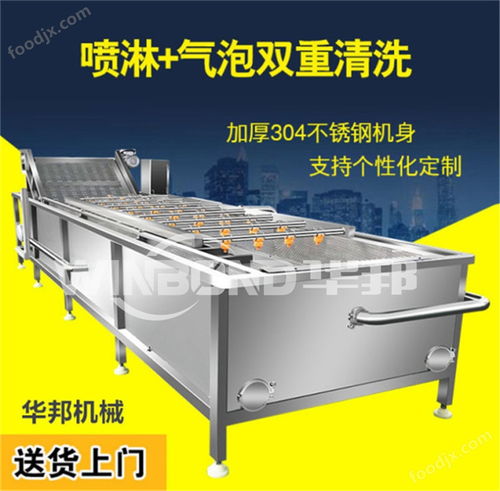 瓜果蔬菜氣泡清洗機(jī)與果蔬凈菜加工設(shè)備 價格與選擇指南