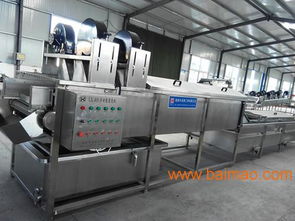 大姜清洗機(jī) 高效蔬菜加工機(jī)械的選擇與價格分析