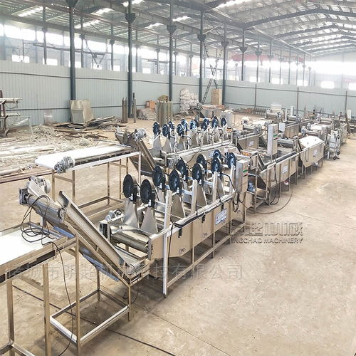 河北凈菜進(jìn)京項目 凈菜全套加工設(shè)備與蔬菜加工機(jī)械的全面解析