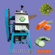 蓮藕切片機(jī)械及多種蔬菜加工設(shè)備 高效半自動(dòng)切菜機(jī)全解析