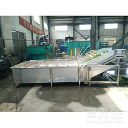 鼎鳳源紅棗蔬菜清洗機(jī)參數(shù)說(shuō)明及諸城氣泡清洗流水線廠家介紹