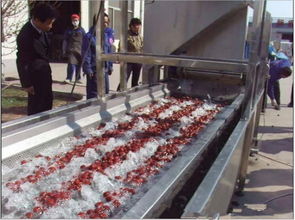 速凍豇豆加工設(shè)備價(jià)格及產(chǎn)品報(bào)價(jià)詳解