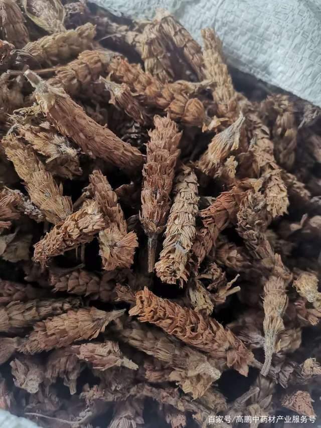 探秘亳州中藥材批發市場 傳統與創新的交匯之地